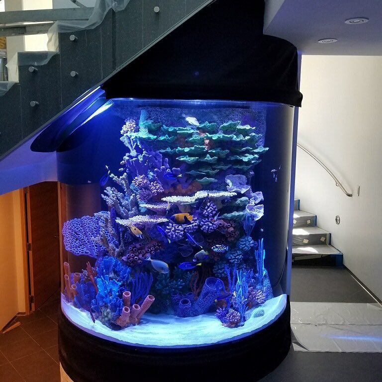 Fabrication of Aquarium.