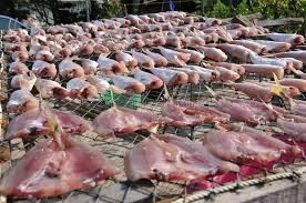 Fish Processing and Preservation
