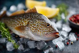 Fish by-product Production