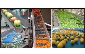 Fruits and Vegetables Processing and  Dehydration.