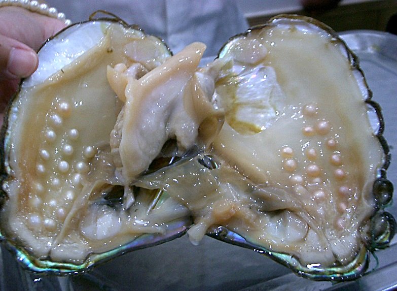 Pearl Culture