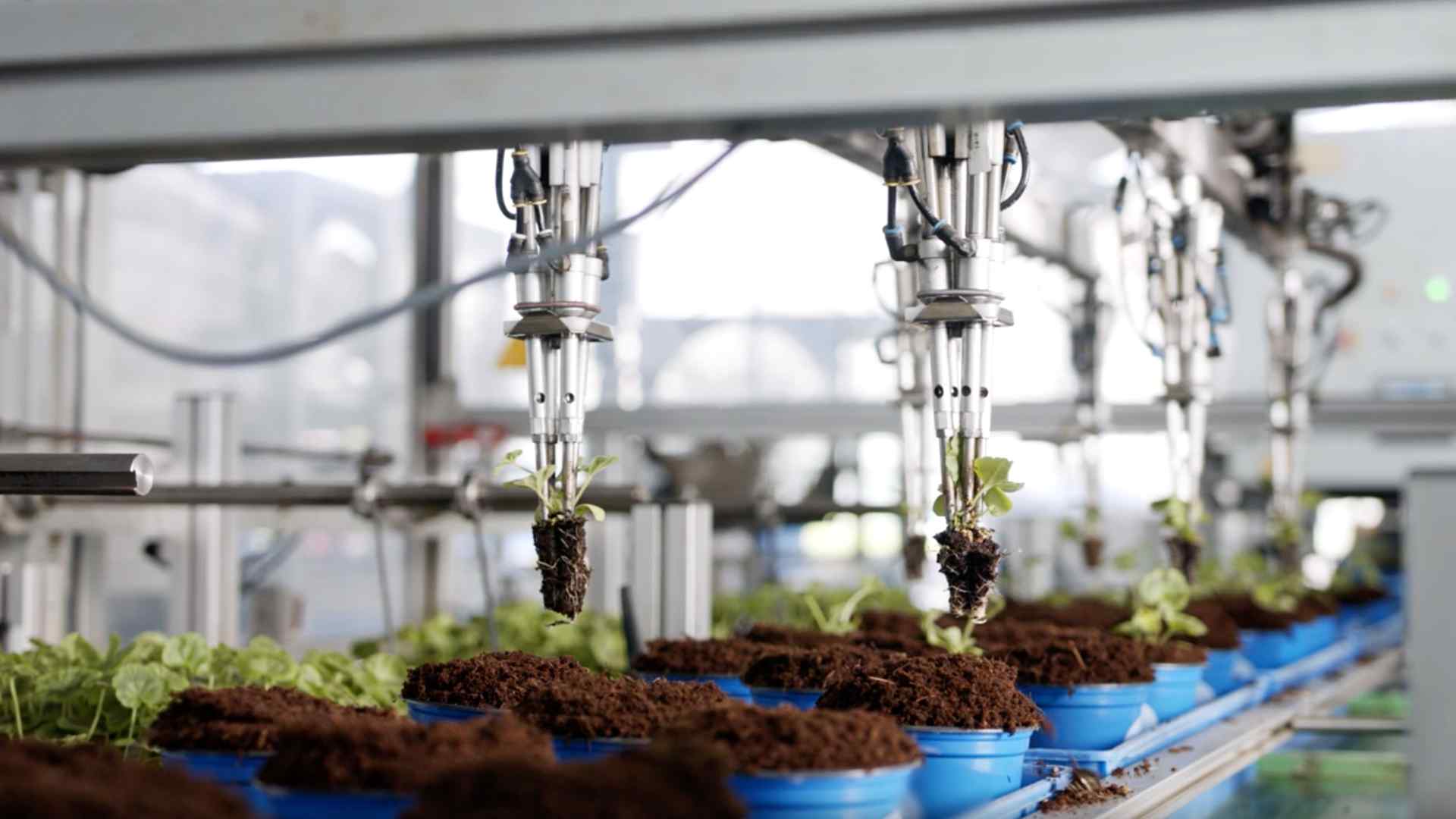 Fermentation Technology